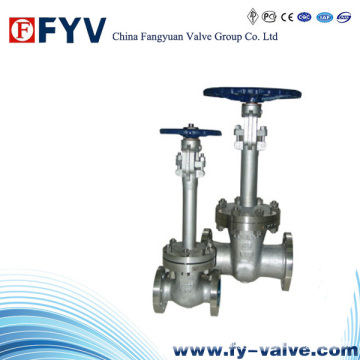 Manual High Pressure Cryogenic Gate Valve